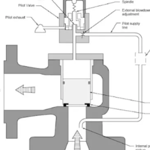 rs=w_365,cg_true (1)